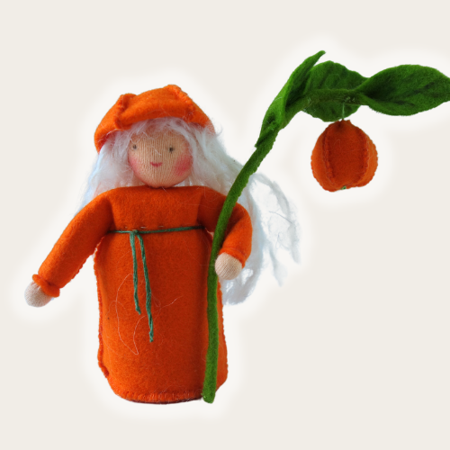 Bloemenkind lampionplant