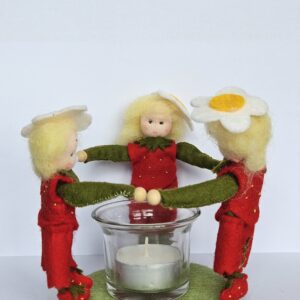 20251105_110533 Aardbeienlichtje