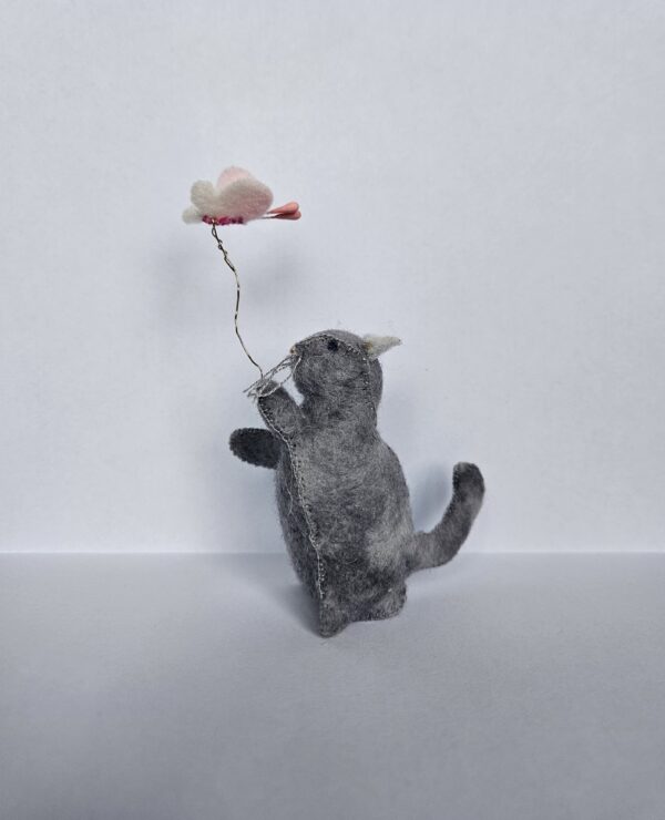 20251123_134945 Kat op vlinderjacht